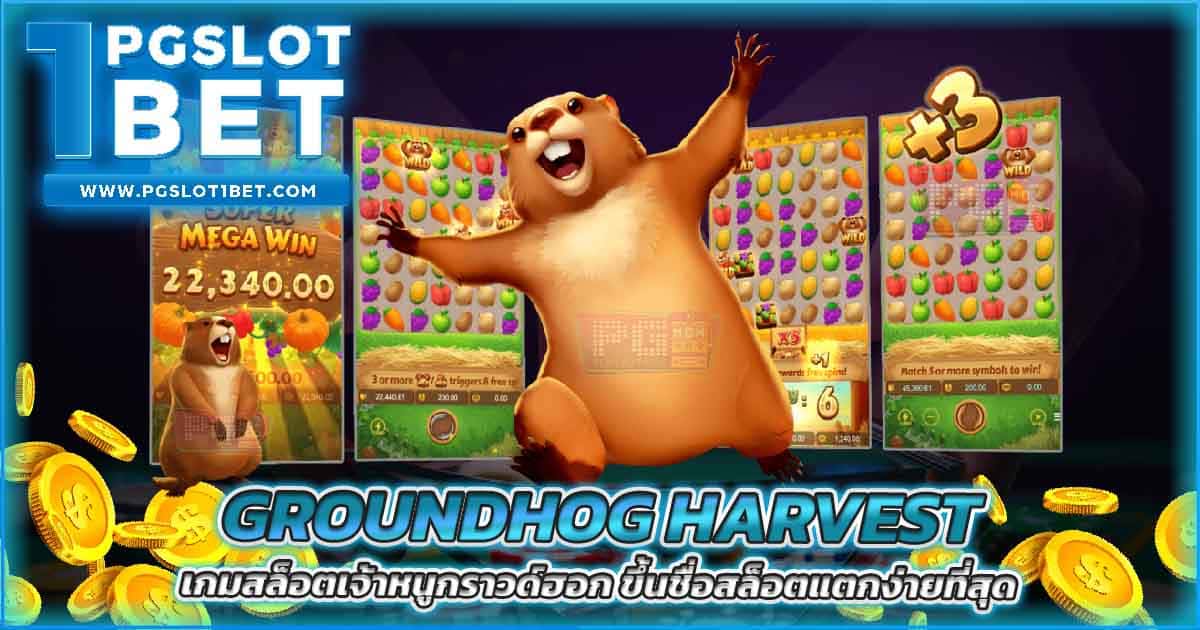 Groundhog Harvest เกมสล็อตเจ้าหนูกราวด์ฮอก ขึ้นชื่อสล็อตแตกง่ายที่สุด